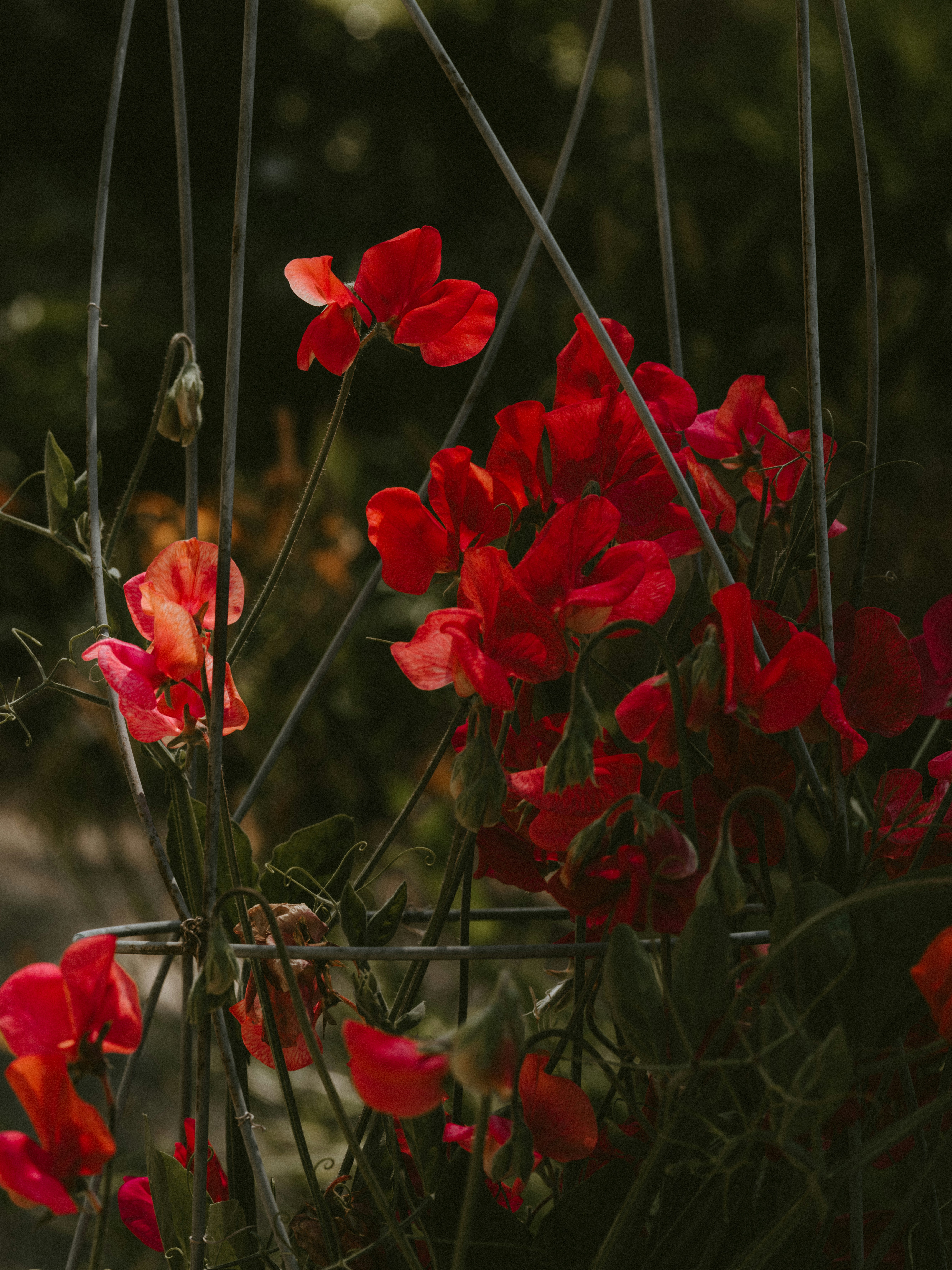 Photo by anniespratt