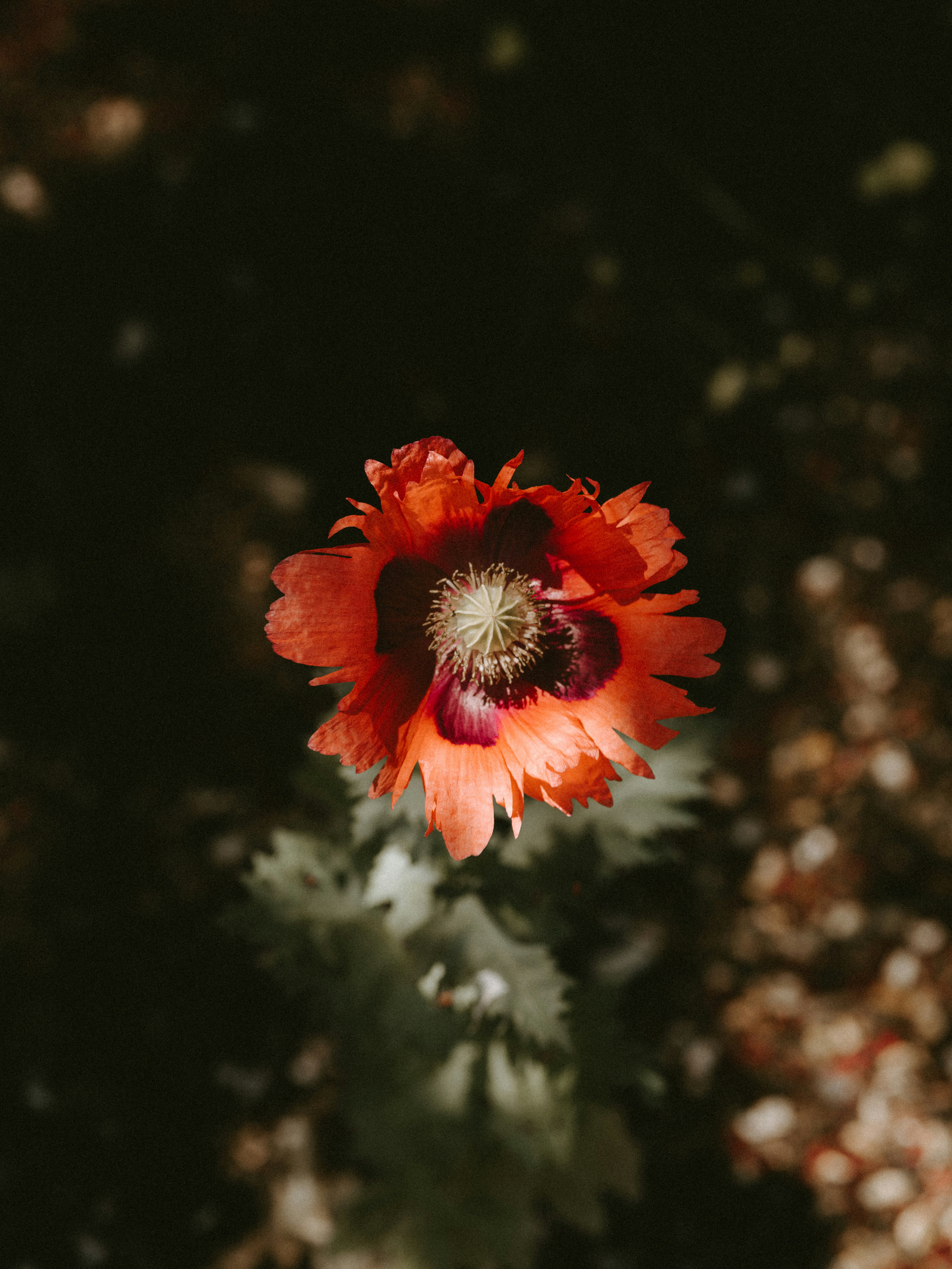 Photo by anniespratt