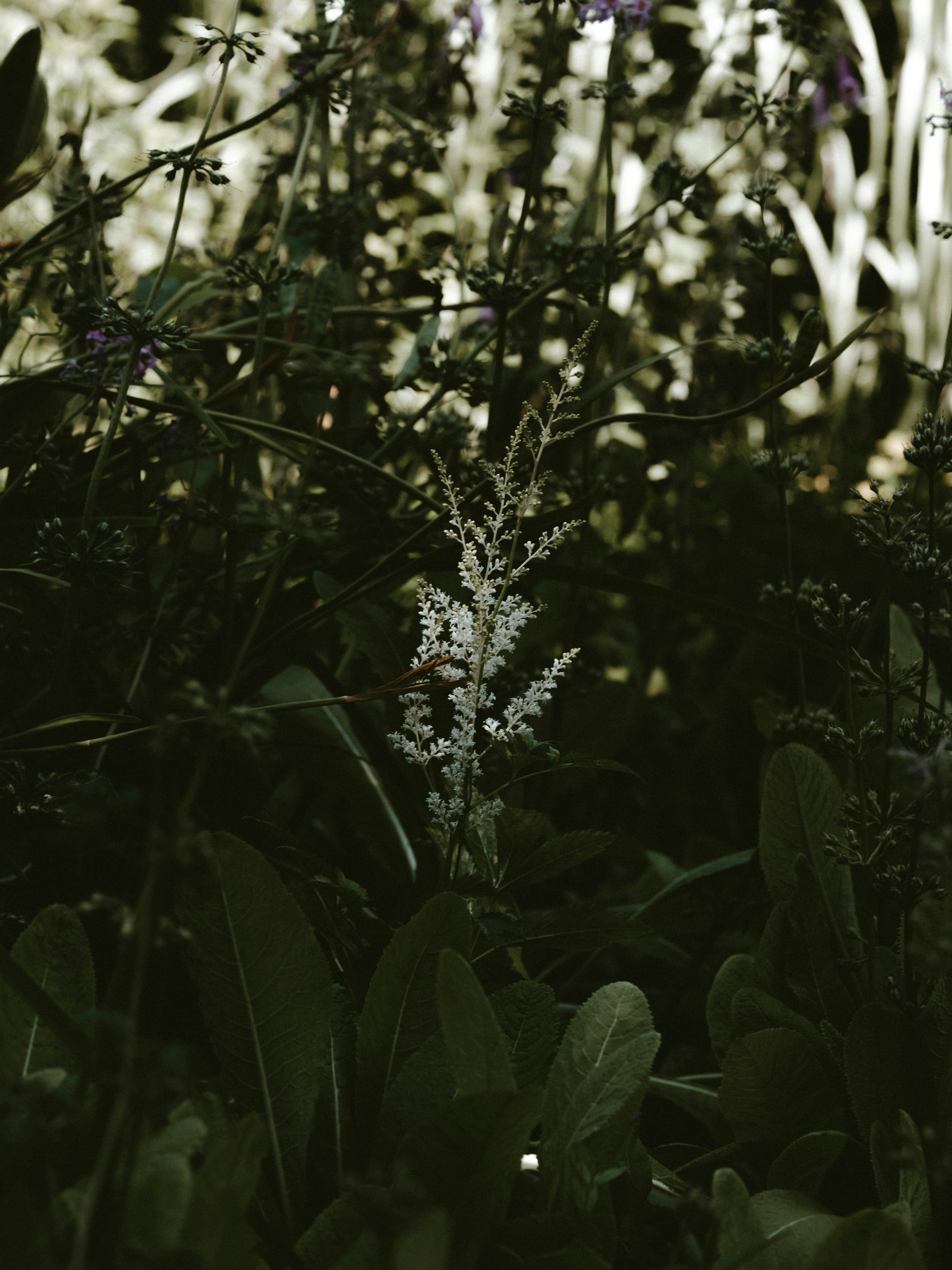 Photo by anniespratt