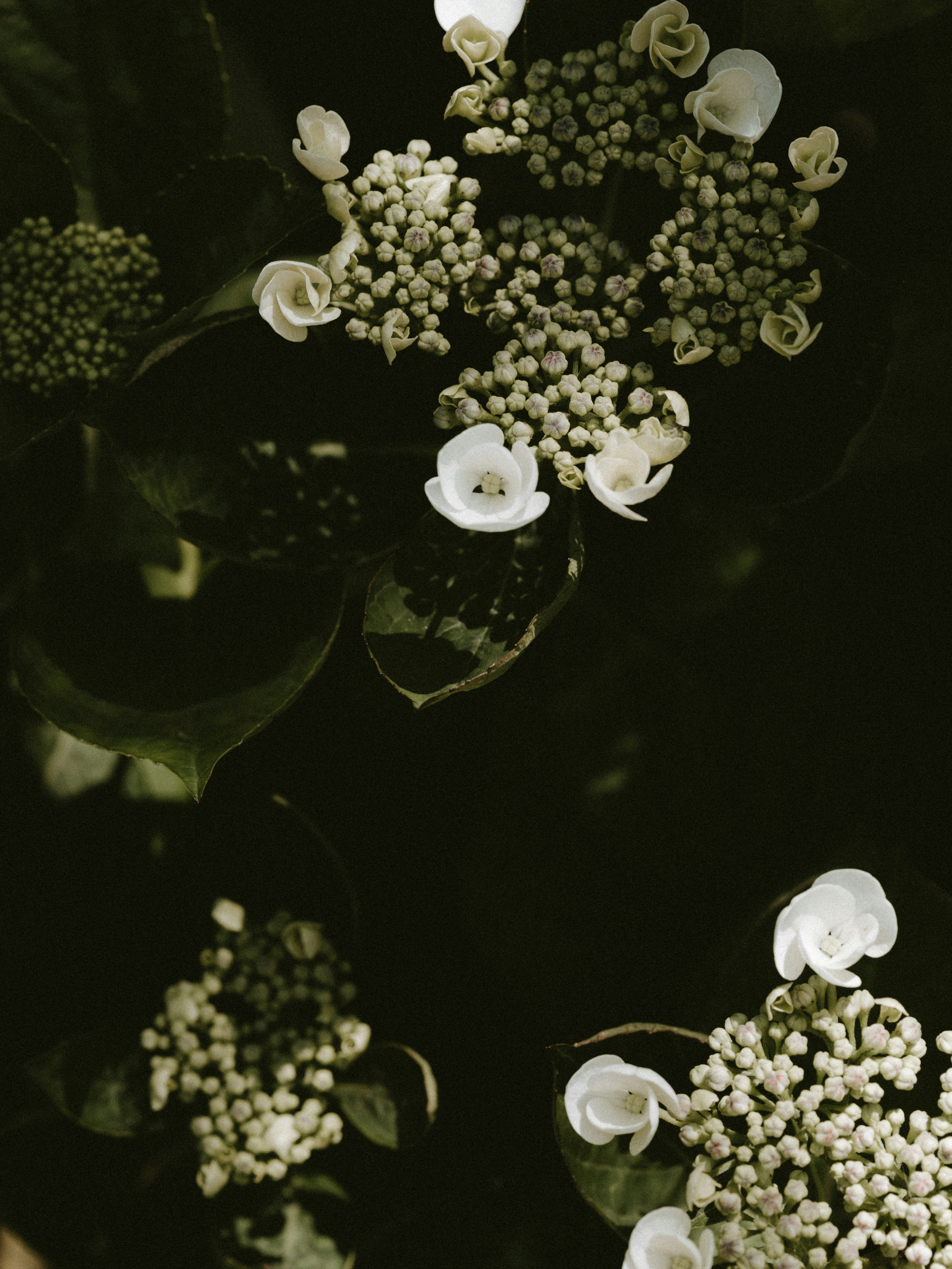 Photo by anniespratt