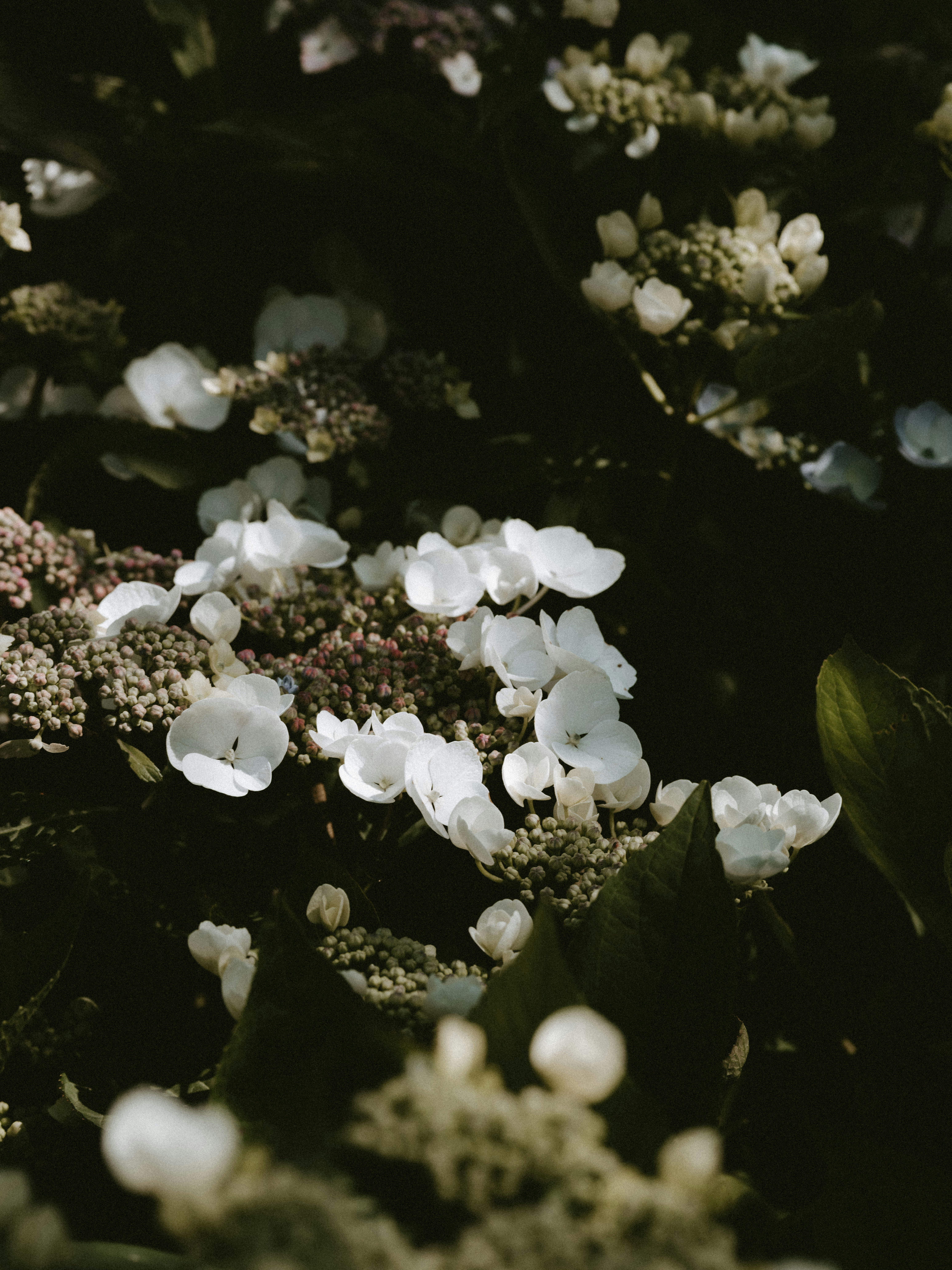 Photo by anniespratt