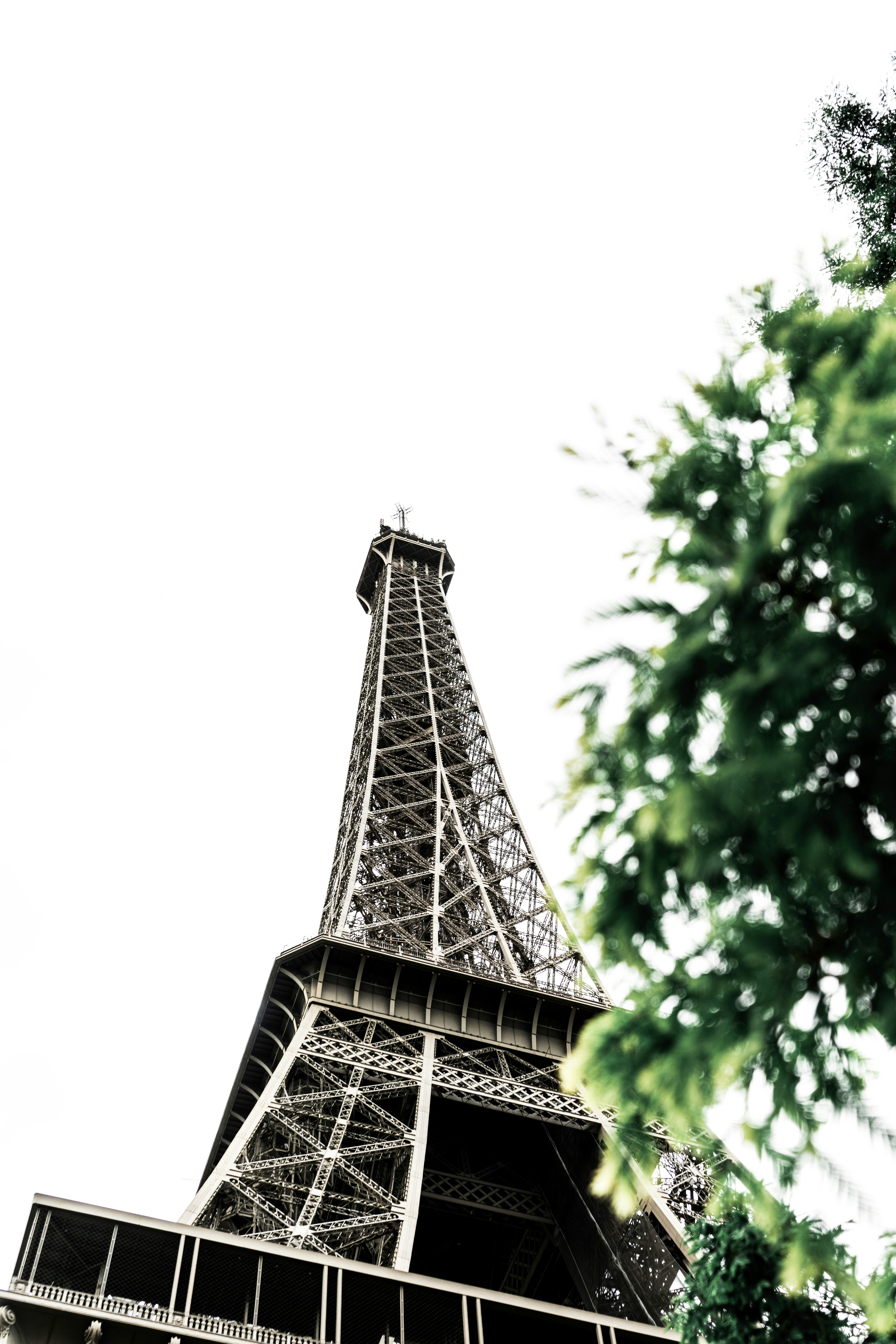 Photo by virussinside