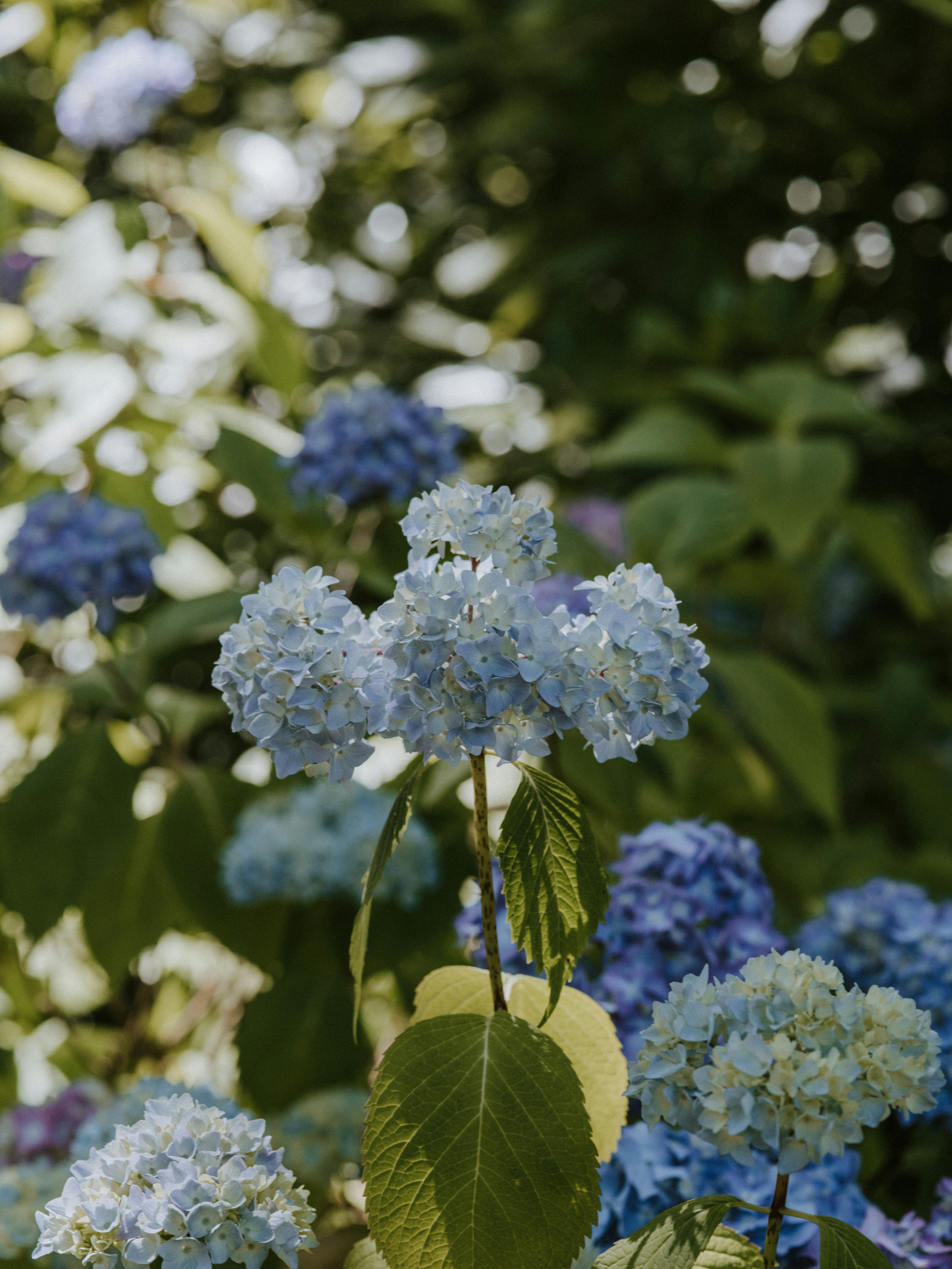 Photo by anniespratt