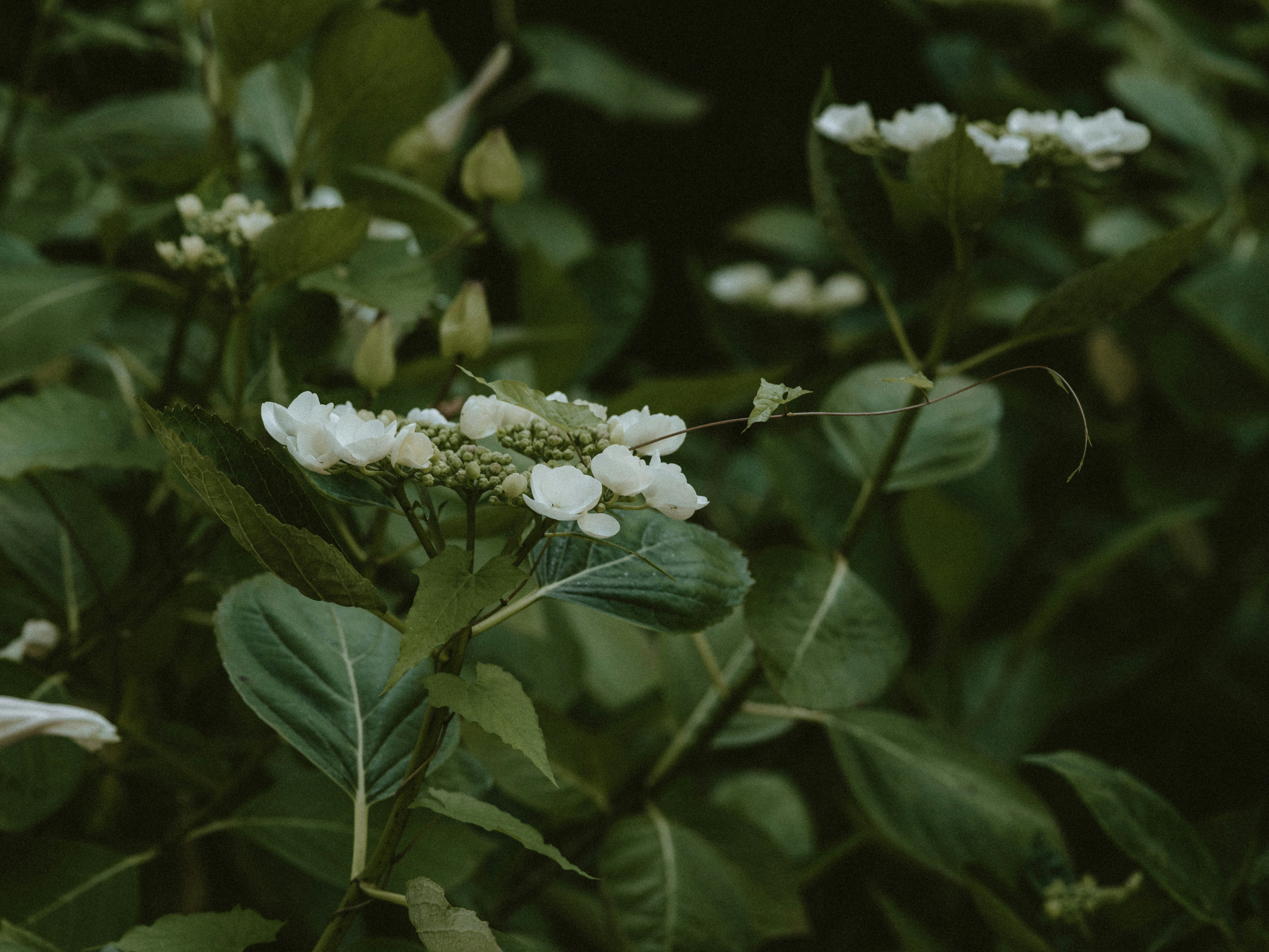 Photo by anniespratt