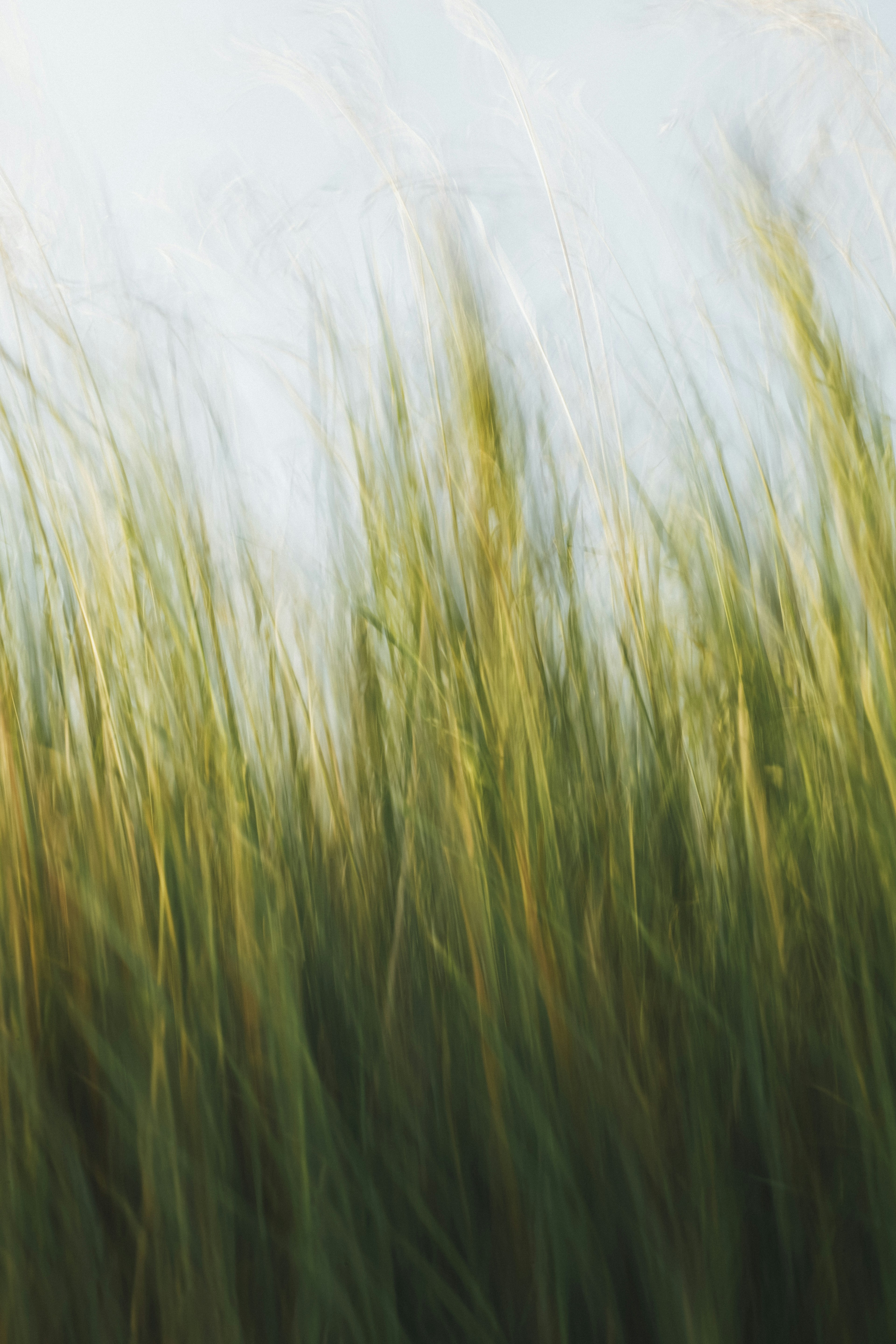 Photo by markusspiske