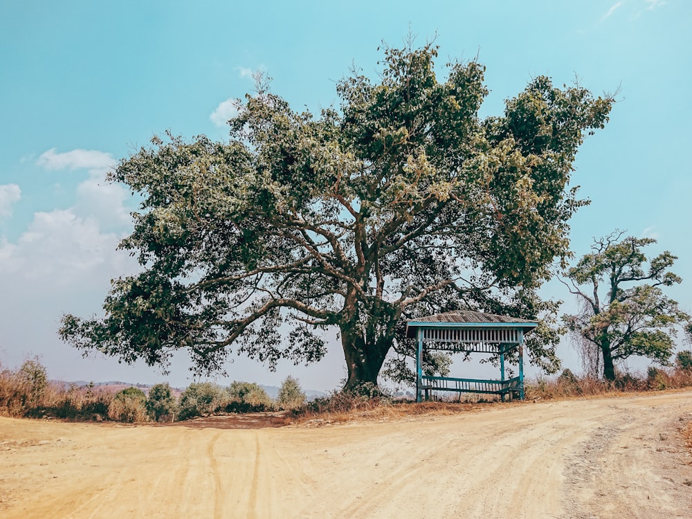 blue wooden gazebo by a tree