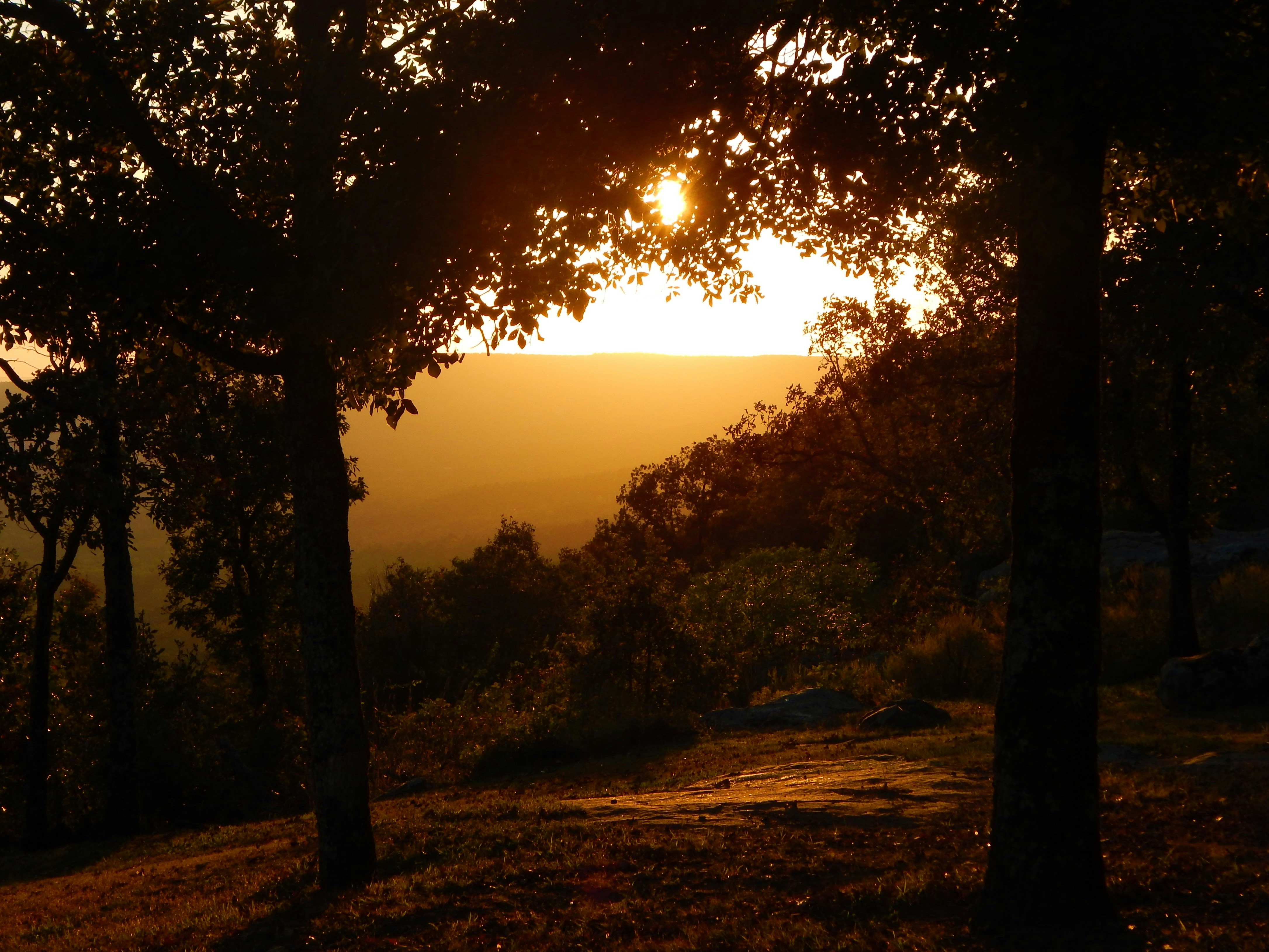 Photo by raja_tilkian