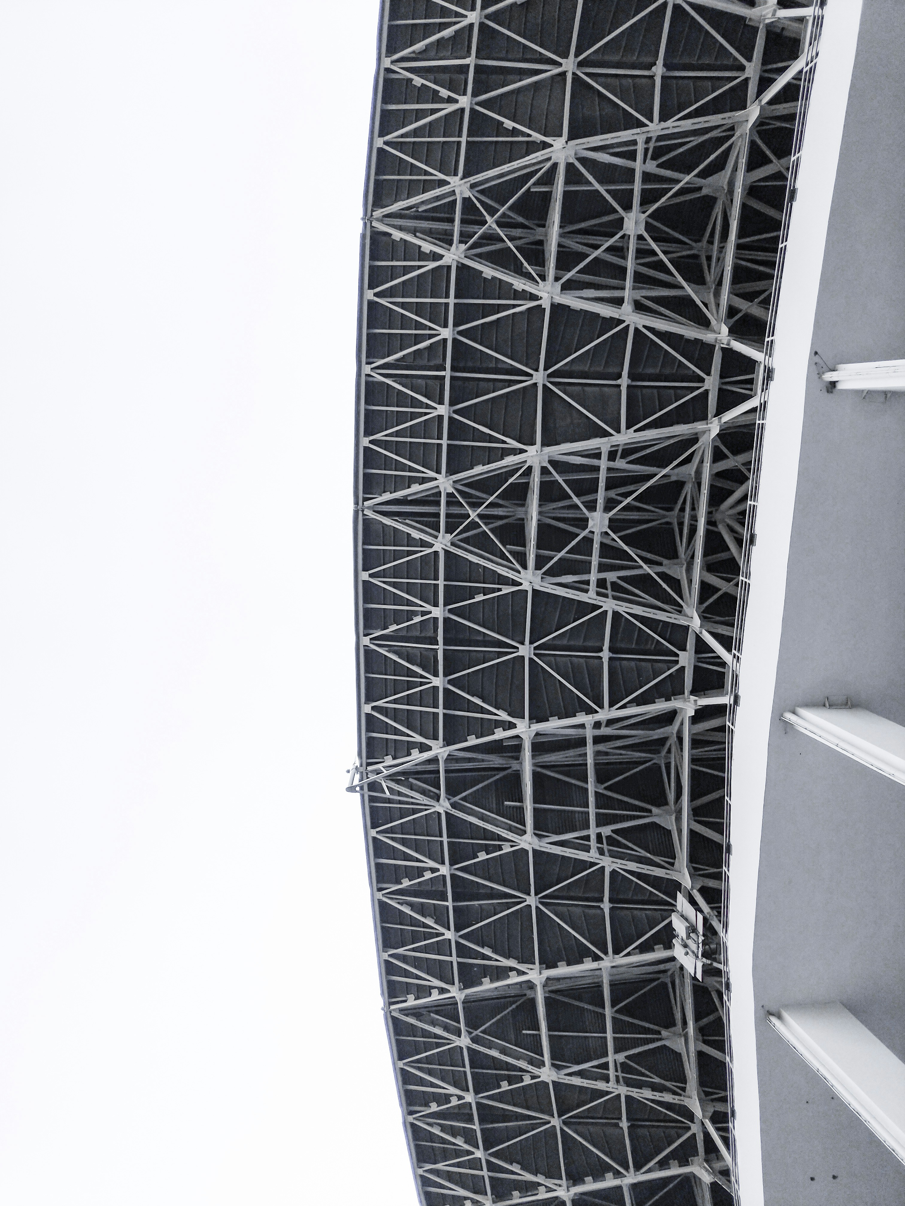 grayscale photography of rooftop