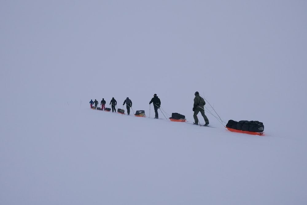 people walking on snow