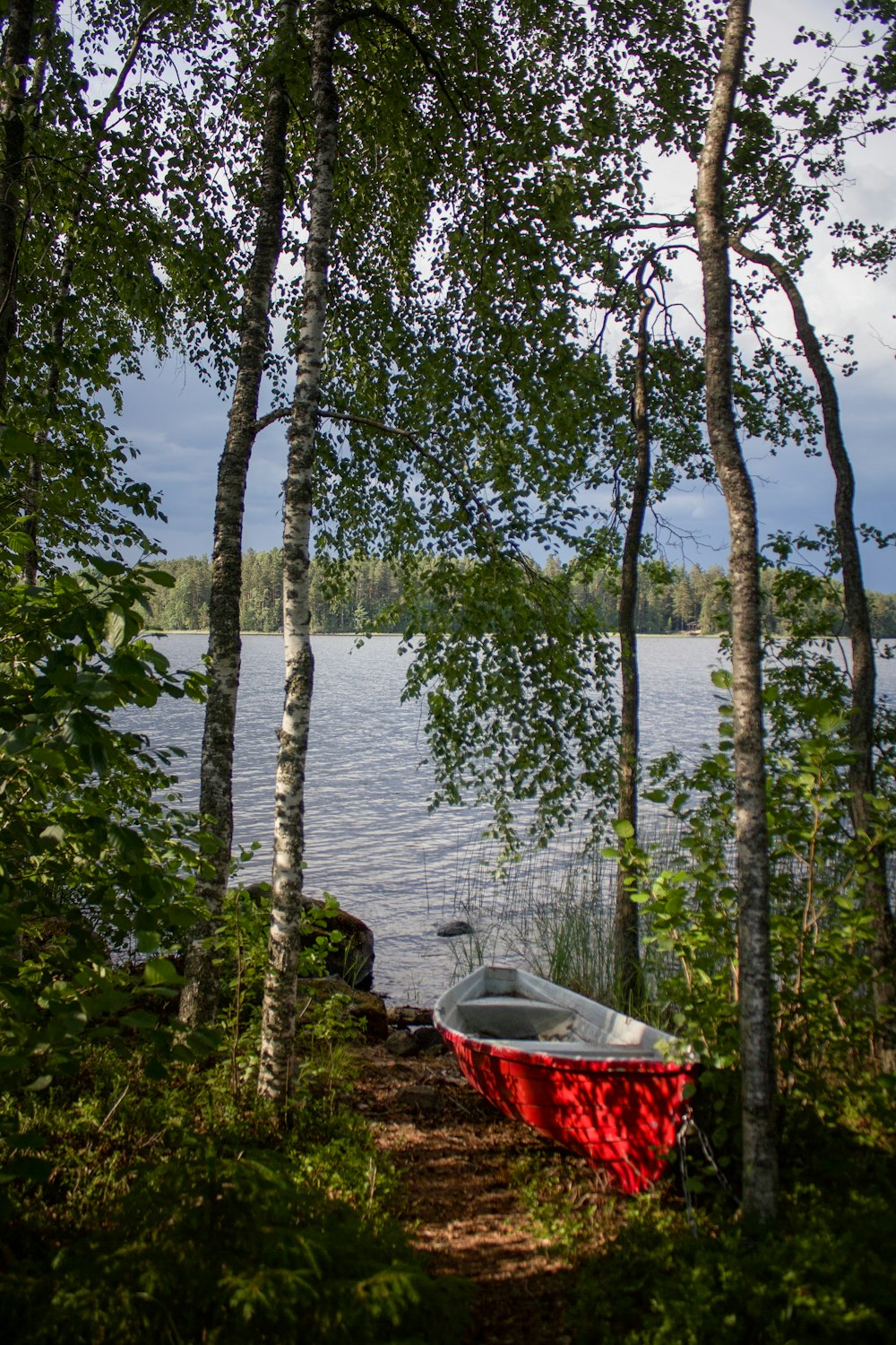 red jon boat