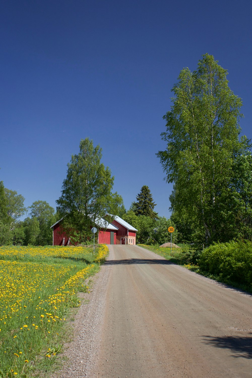 empty road leading to barn