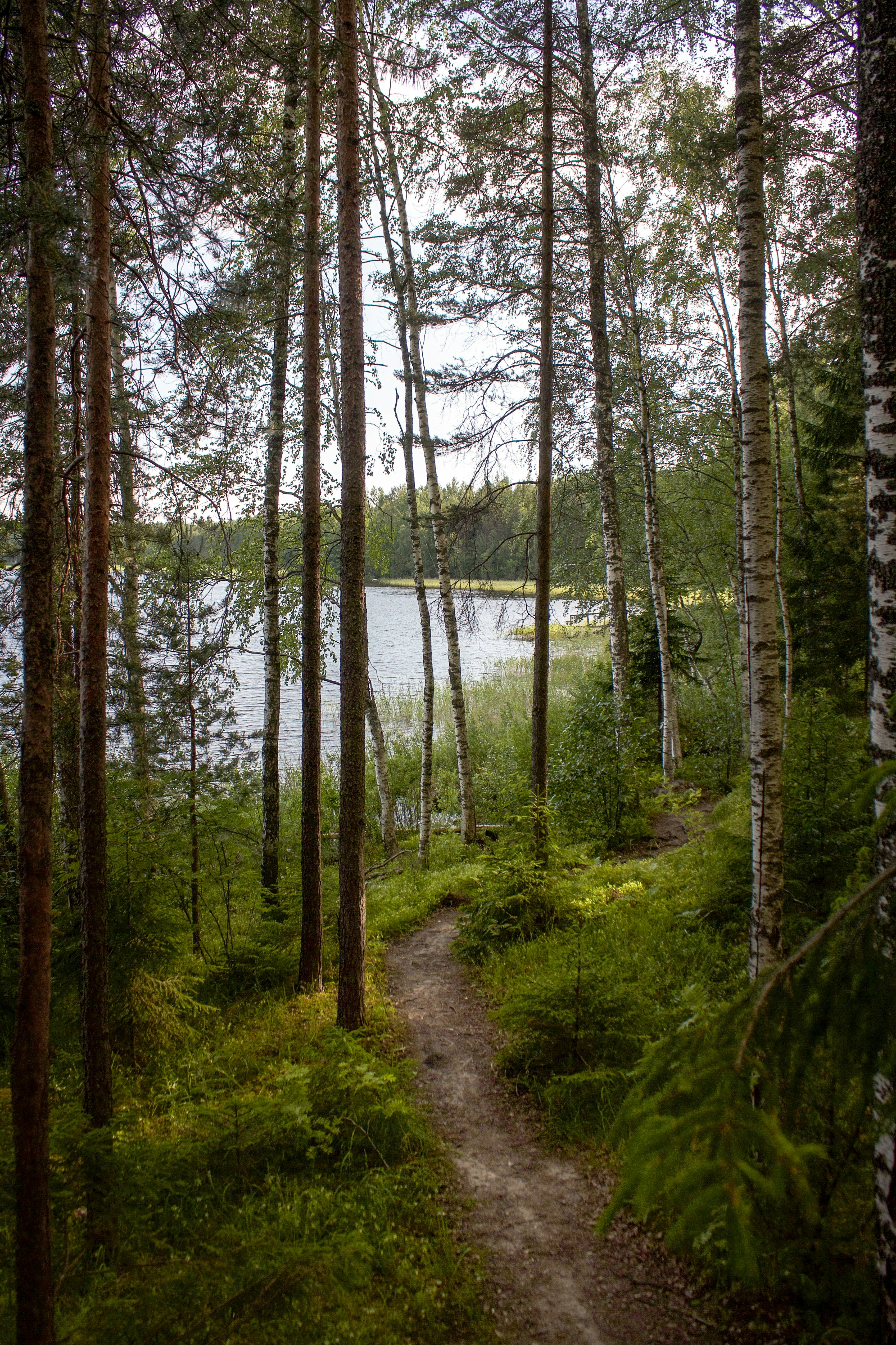 Photo by ruralexplorer