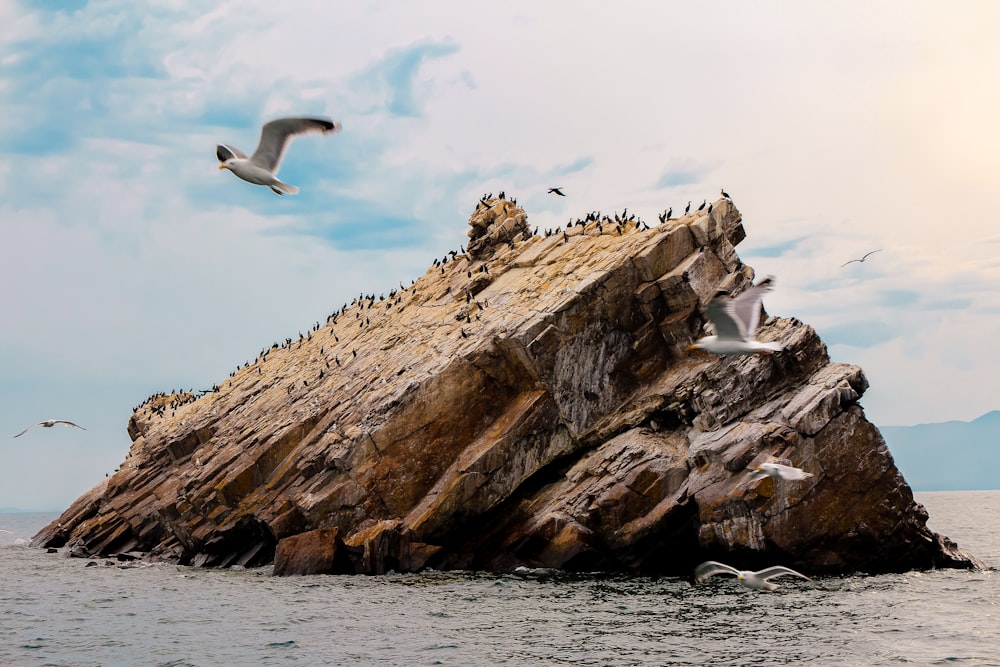 brown rock formation on ocean