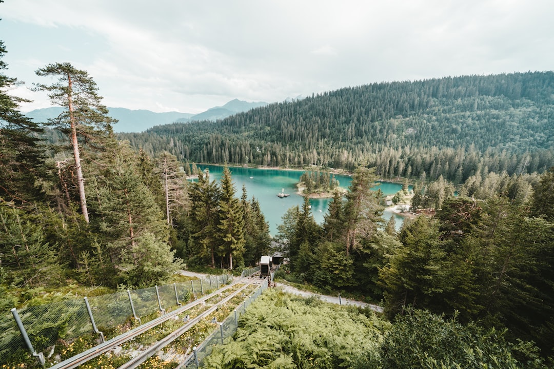 person near forest and body of water