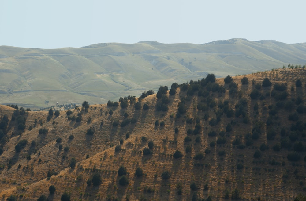 green mountain during daytime