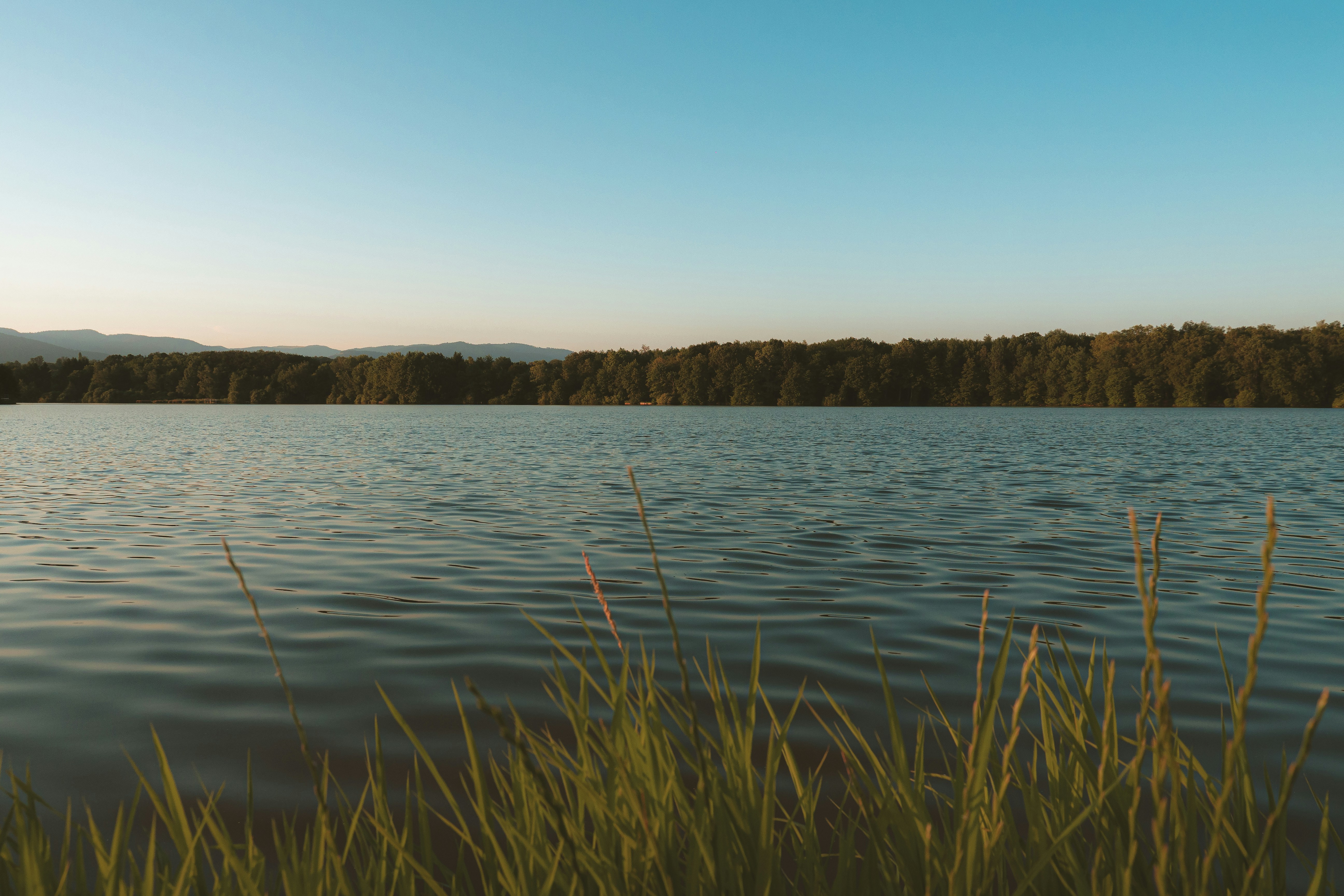 Photo by davidleveque