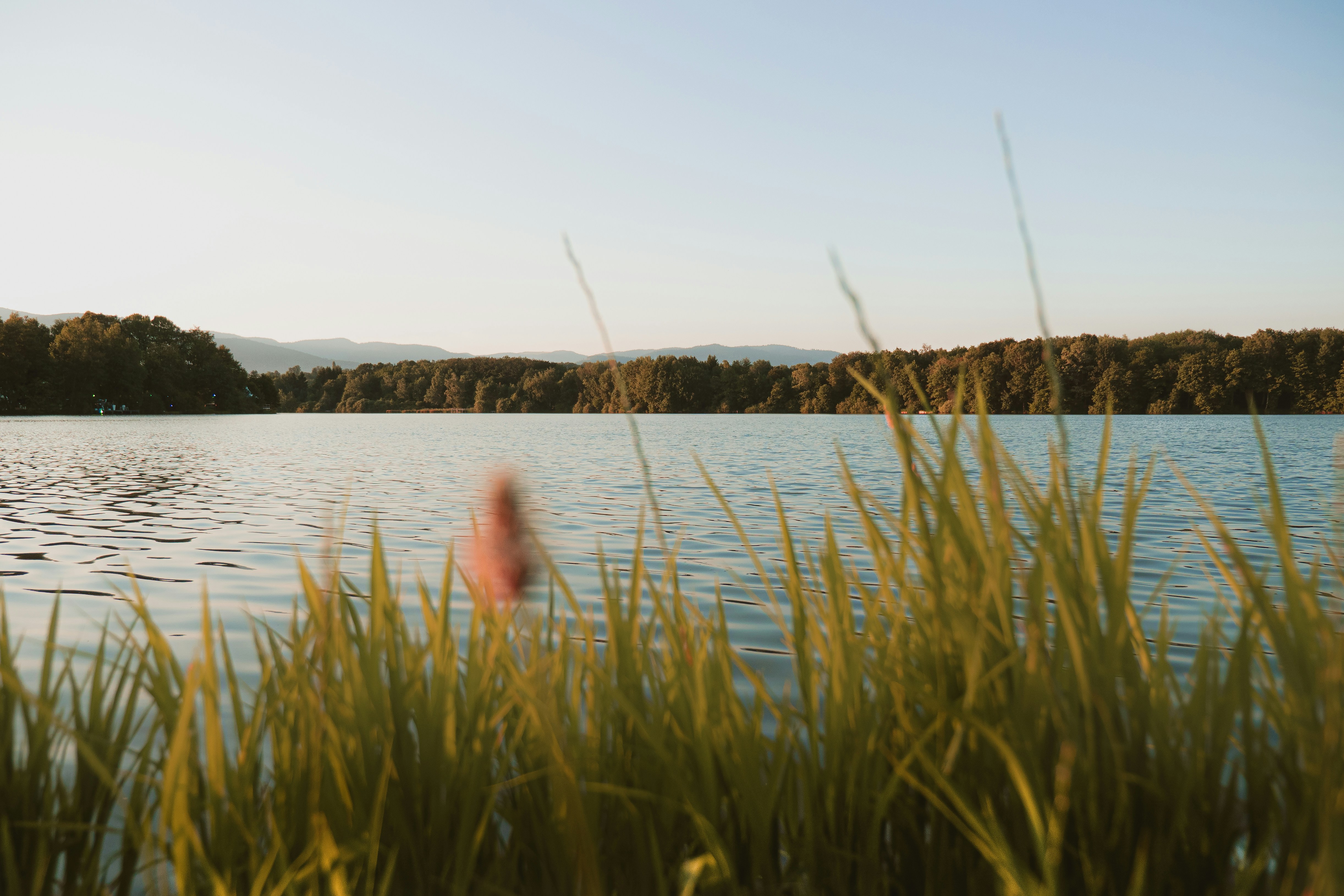 Photo by davidleveque