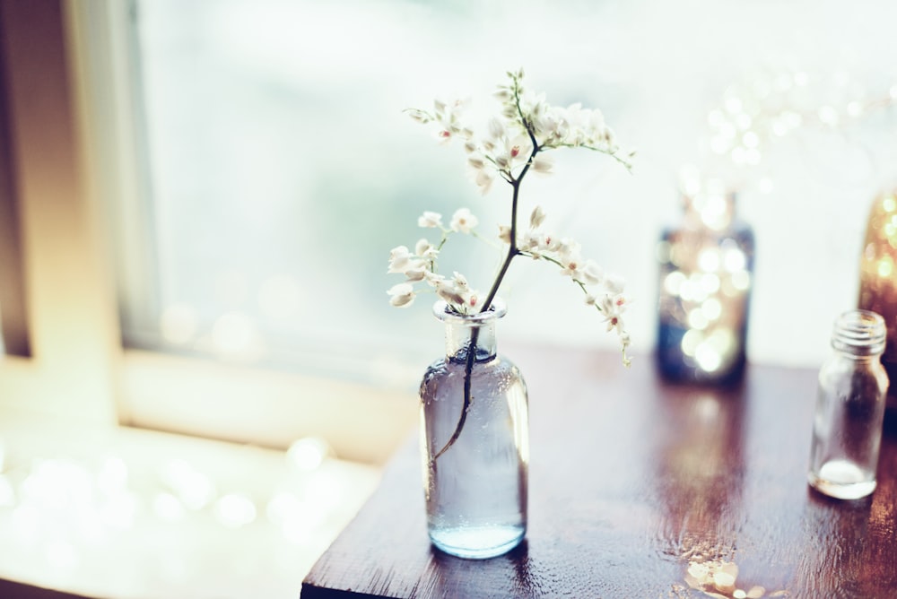 white-petaled flowers on glass vase