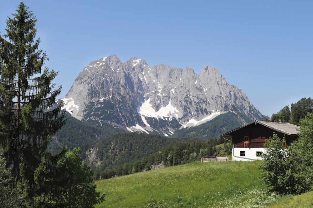 brown and white cabin near trees and mountain