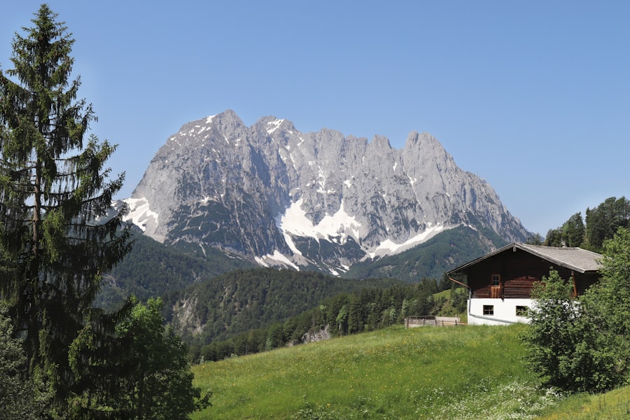 Almhütte in Tirol