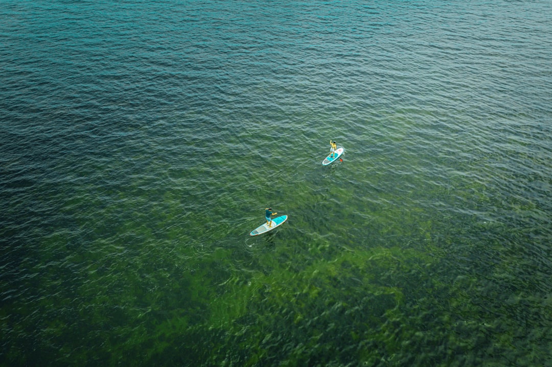 two surfboards on body of water
