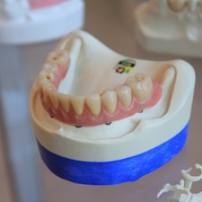 dentures on white scale rack