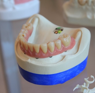 dentures on white scale rack