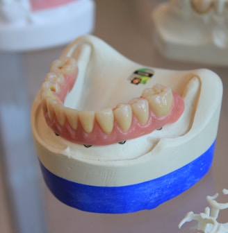 dentures on white scale rack