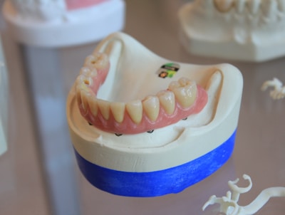 dentures on white scale rack