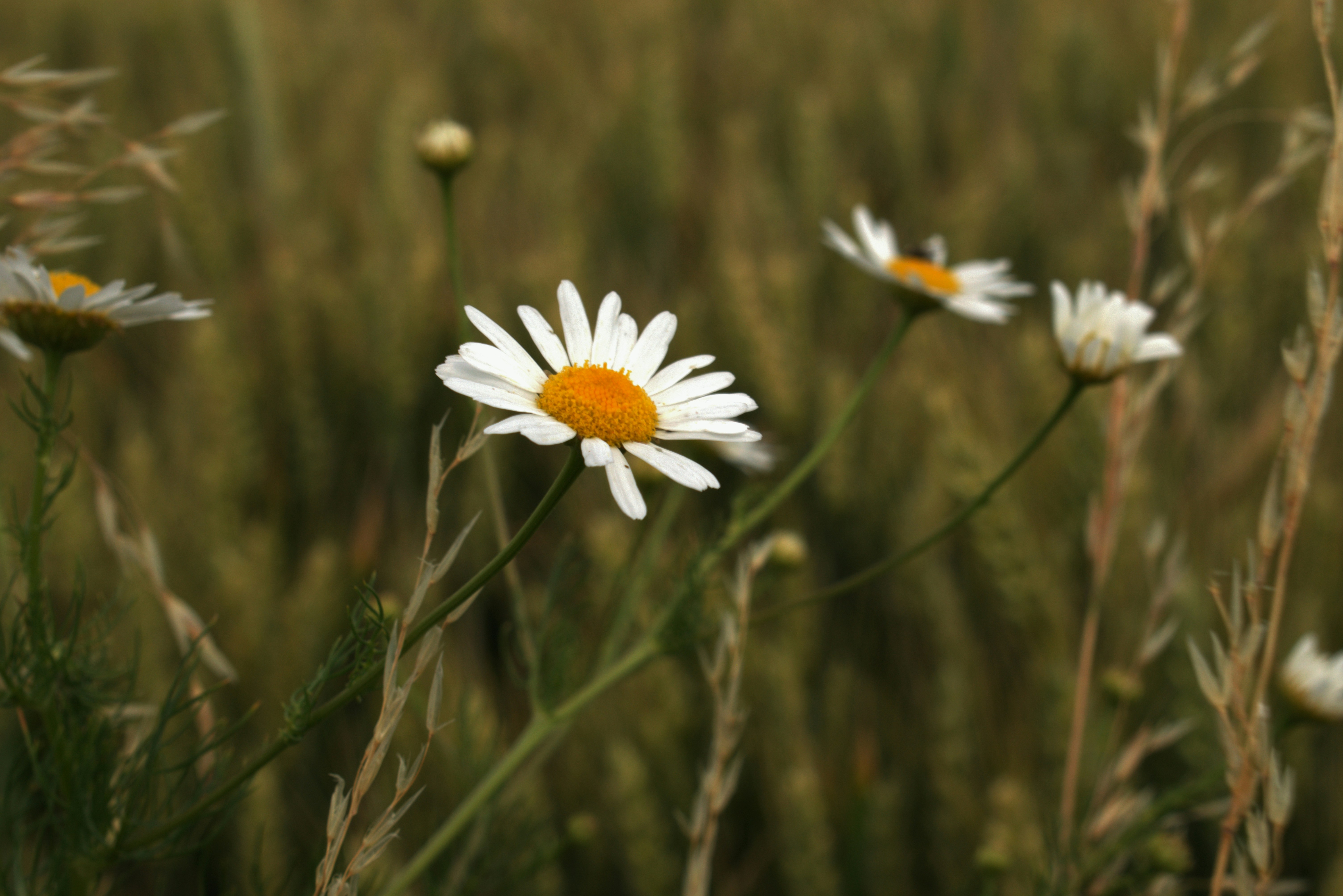 Photo by margagreta_96