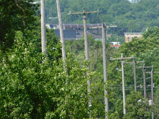 A row of concrete poles aligned along a rural road surrounded by greenery.