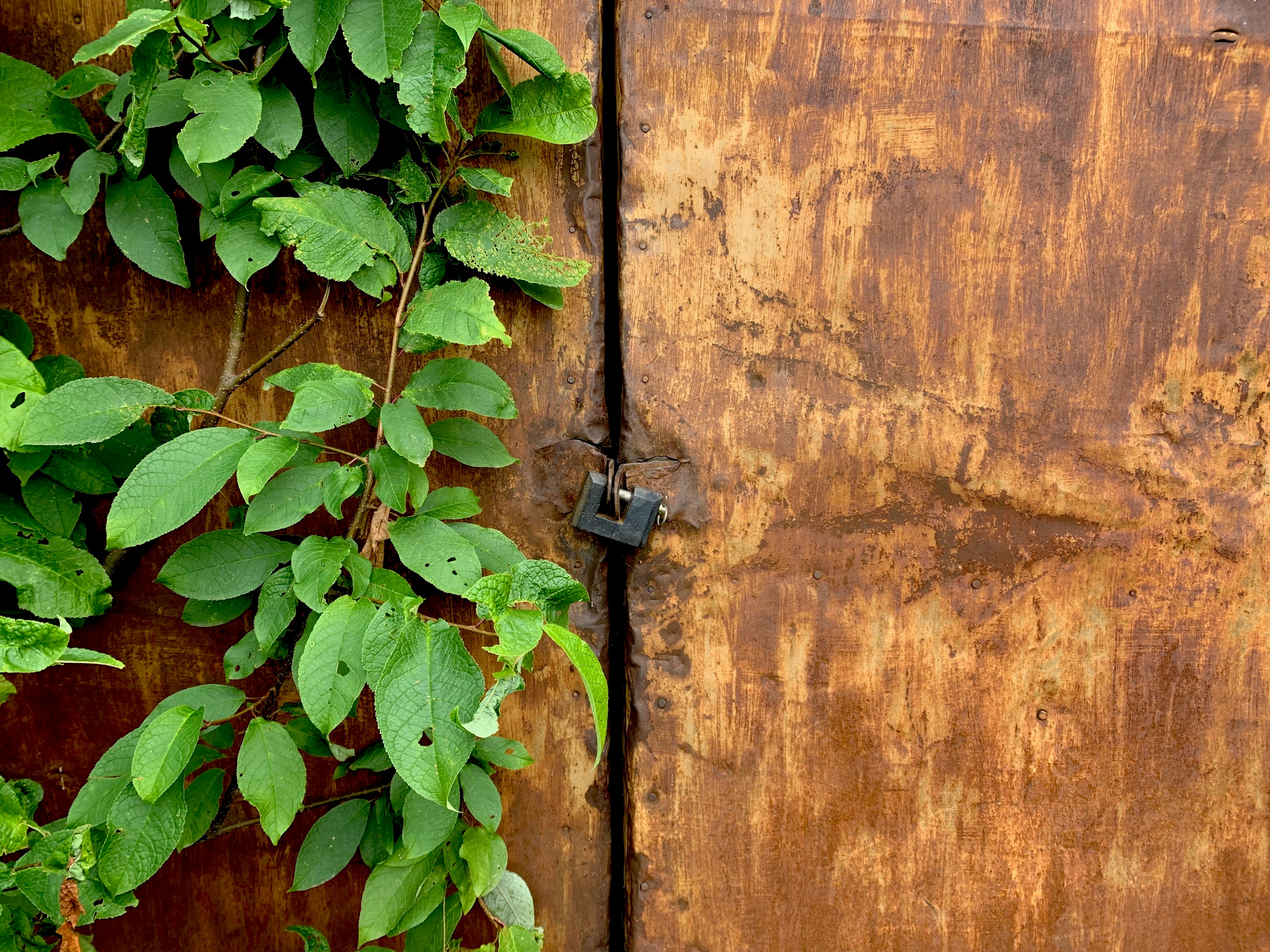 Photo by kat_katerina