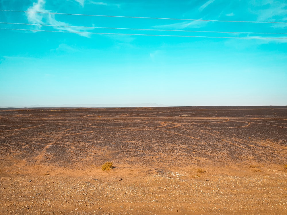 brown and black field under blue sky at daytime