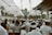 A large group of people dressed in traditional white attire gather under a canopy, which is decorated with hanging fabric. The setting appears to be a cultural or religious event with a stone temple gate visible in the background.