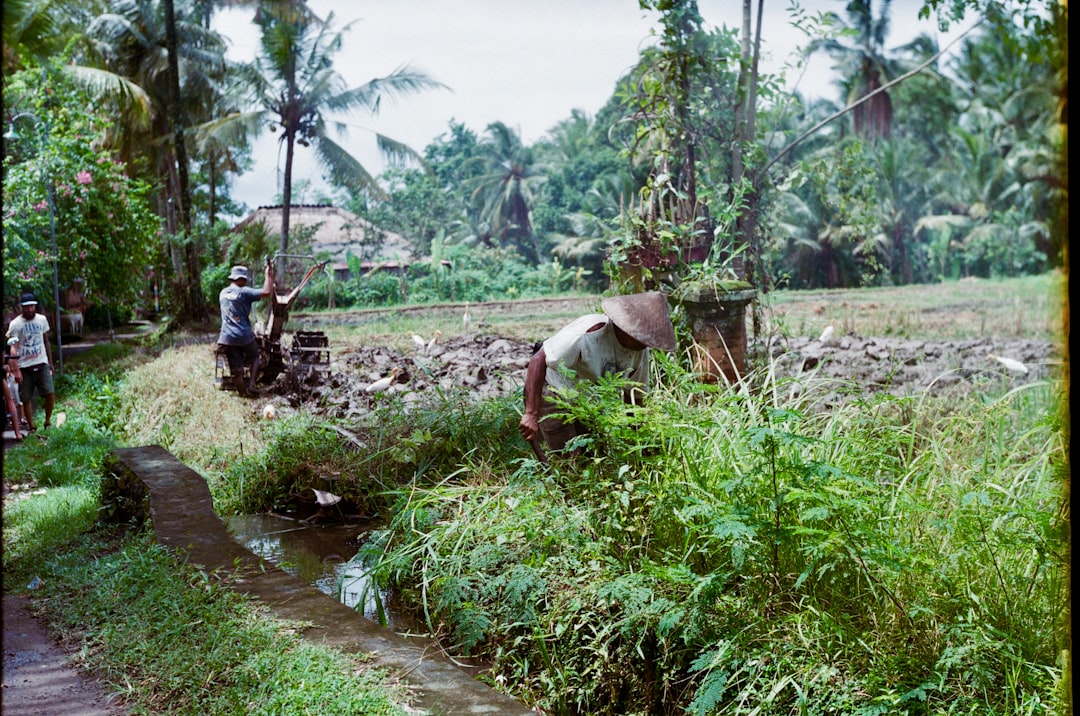 man on grass field