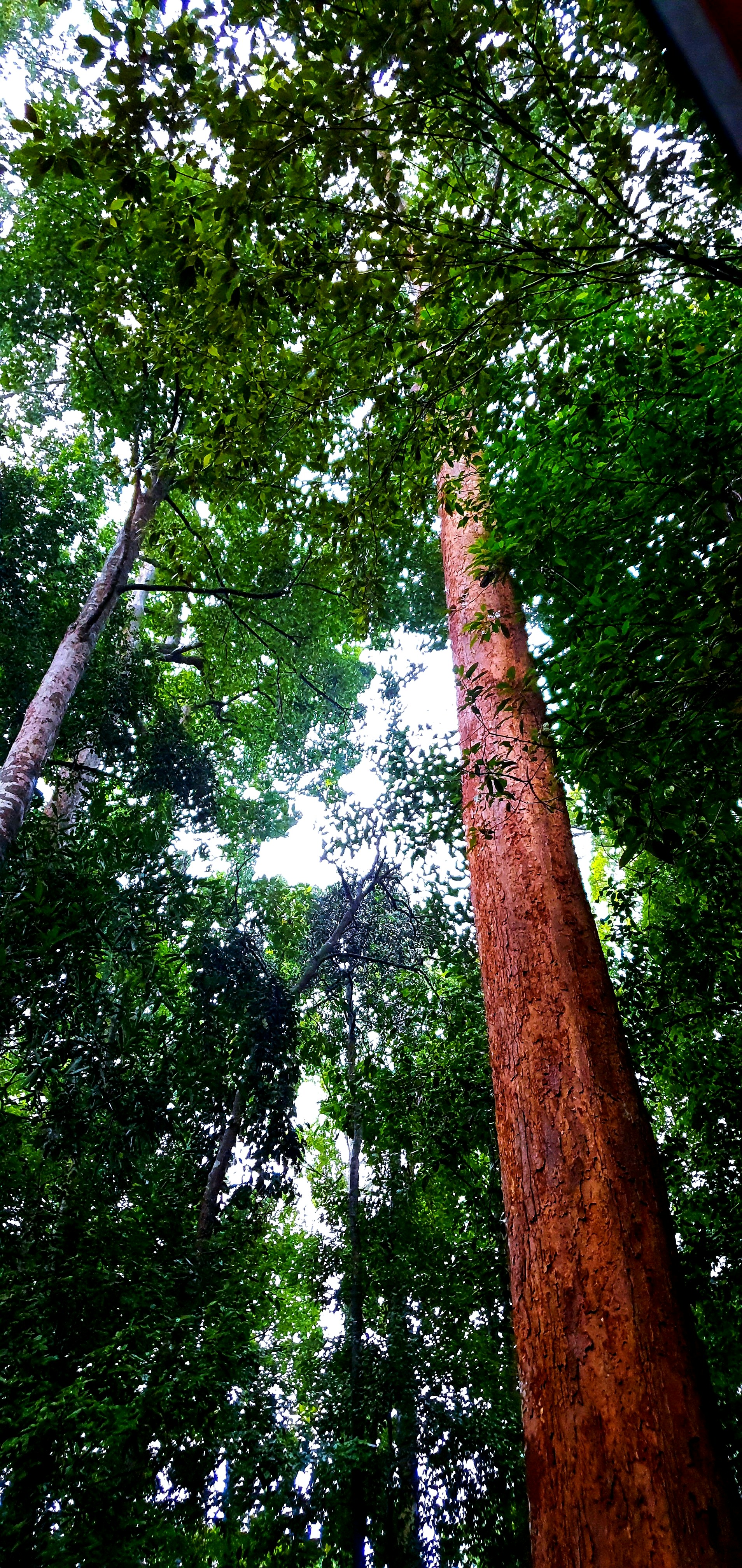 Photo by mrapplebite