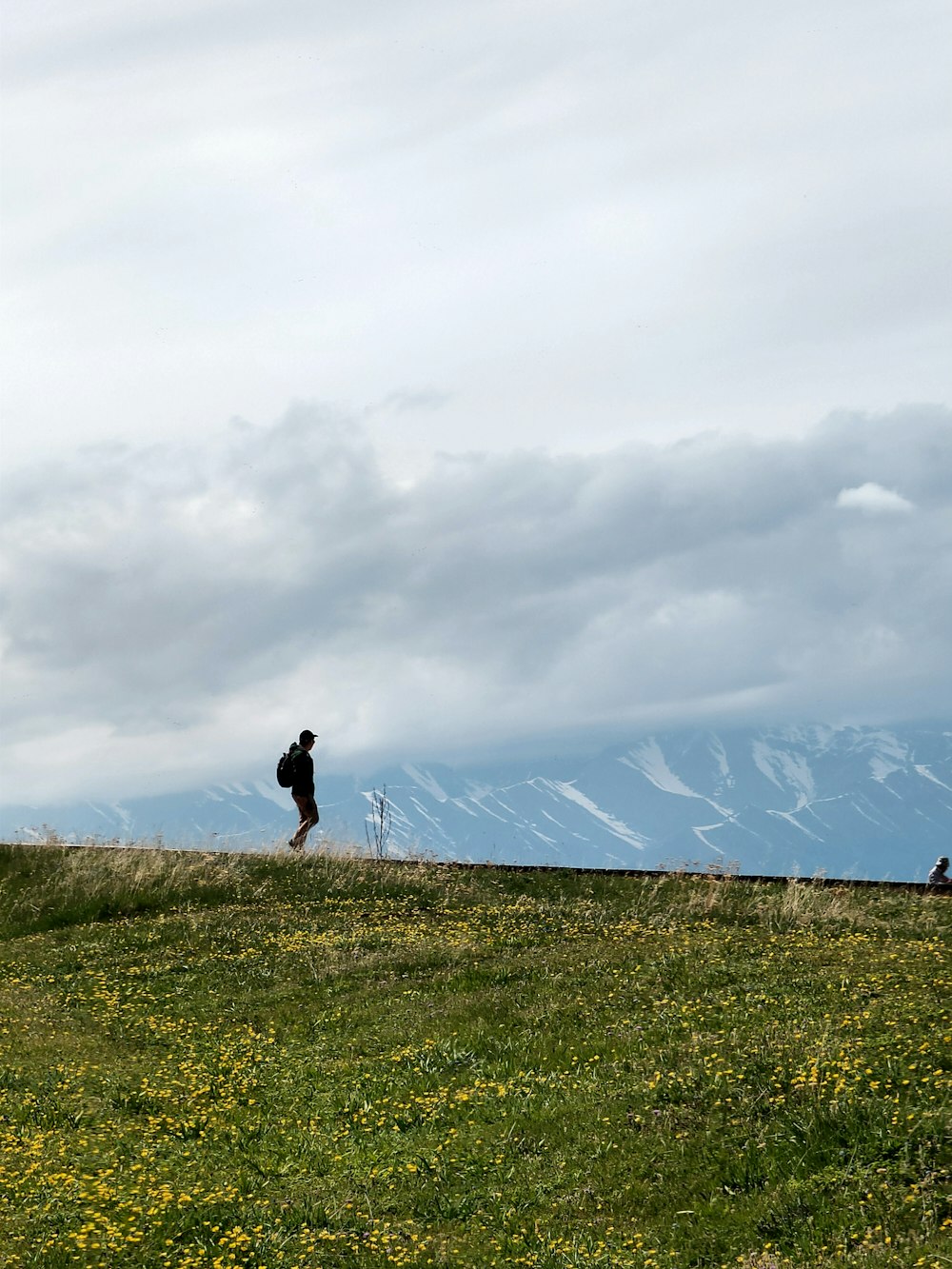 silhouette photo of man on green grass