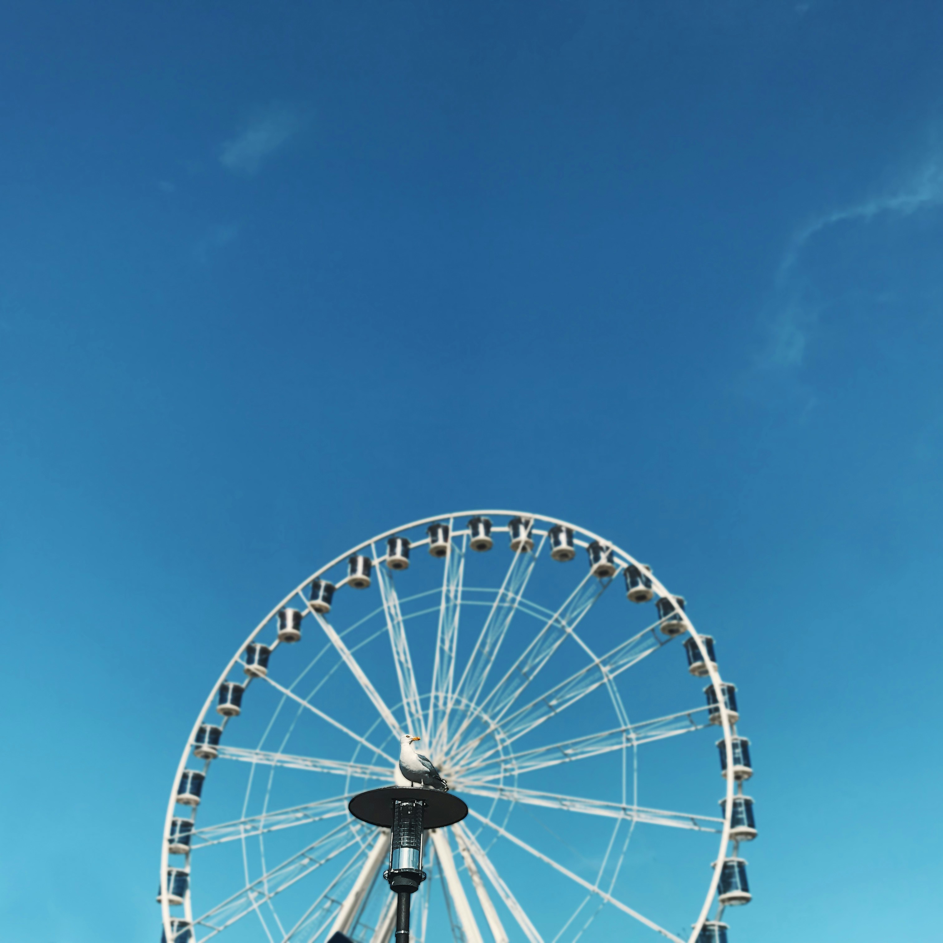 Photo by arthurbizkit