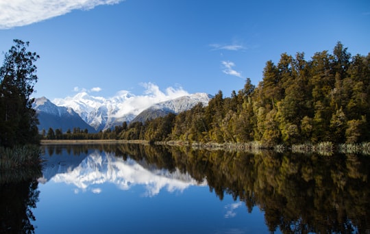 green trees along the river in Westland Tai Poutini National Park New Zealand