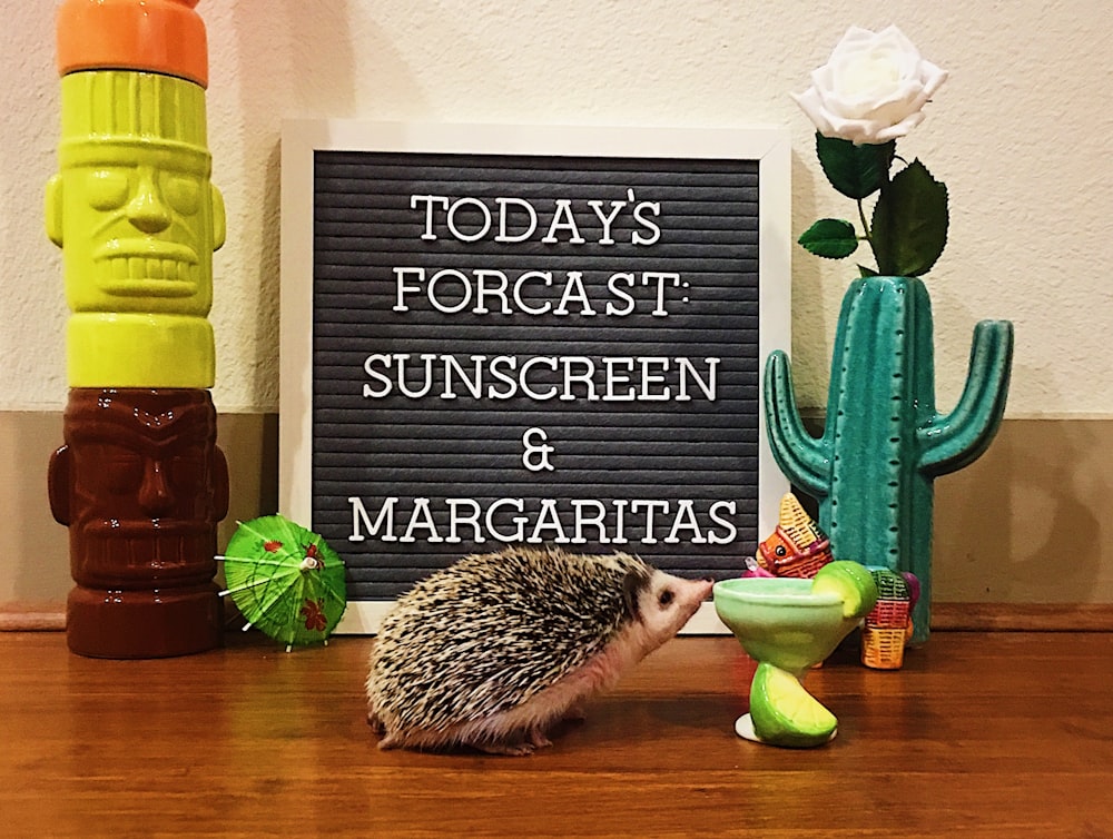 hedgehog in a brown surface near a cactus plastic figurine and totem