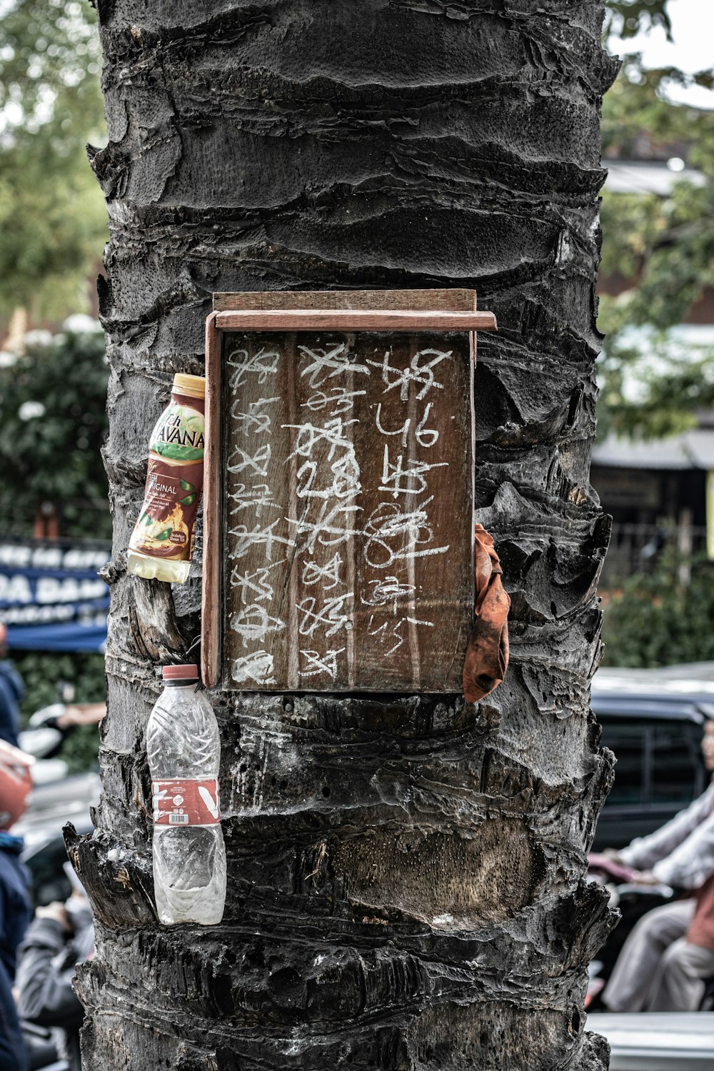 un árbol que tiene algo de escritura en él