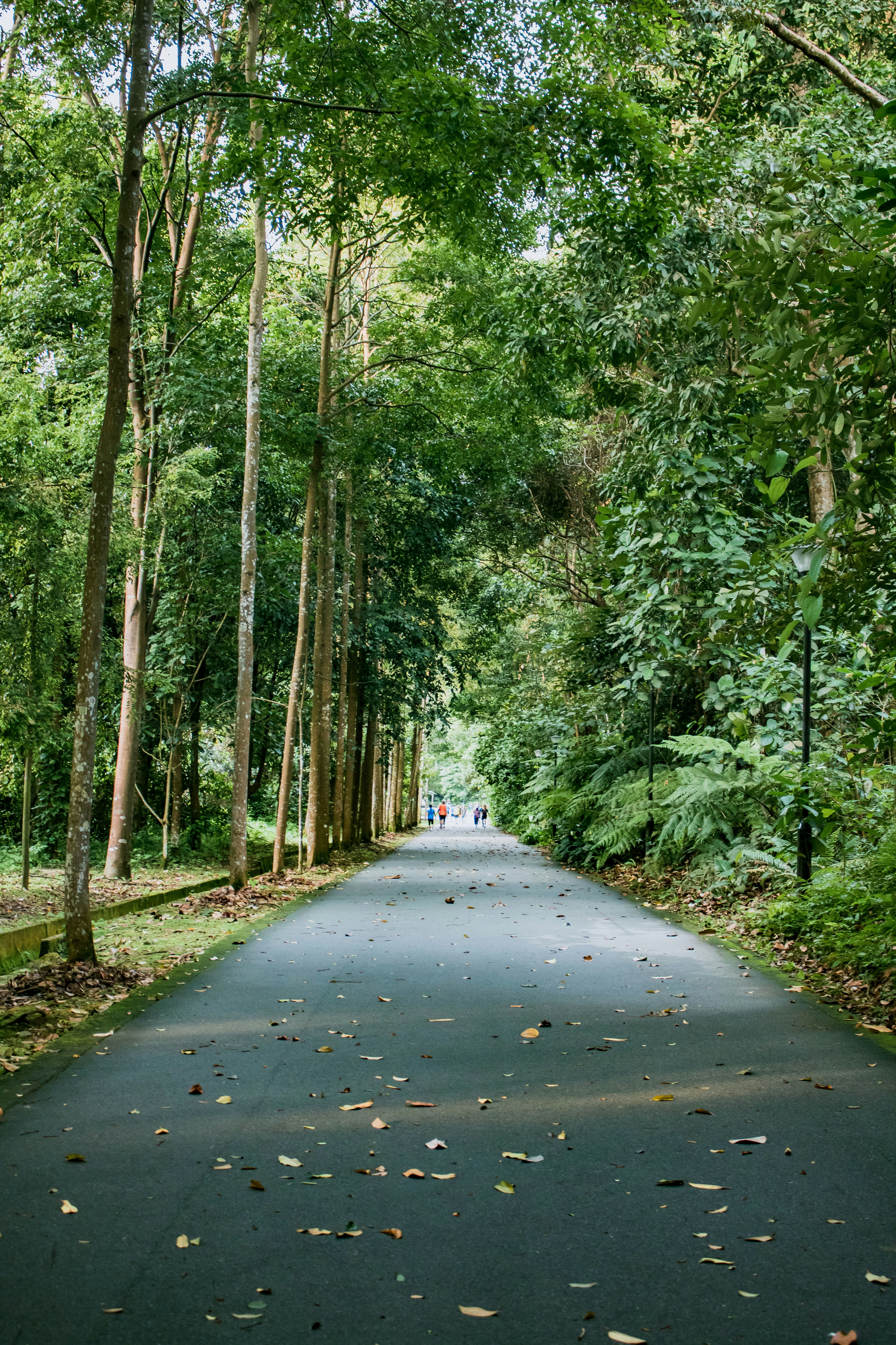 Photo by samthewam24