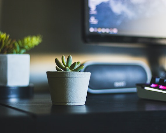 A small potted succulent sits on a dark desk in a modern workspace. In the background, a computer monitor displays a blurred desktop image, and a black speaker rests alongside a keyboard with glowing keys. The scene is dimly lit, creating soft shadows and a tranquil atmosphere.