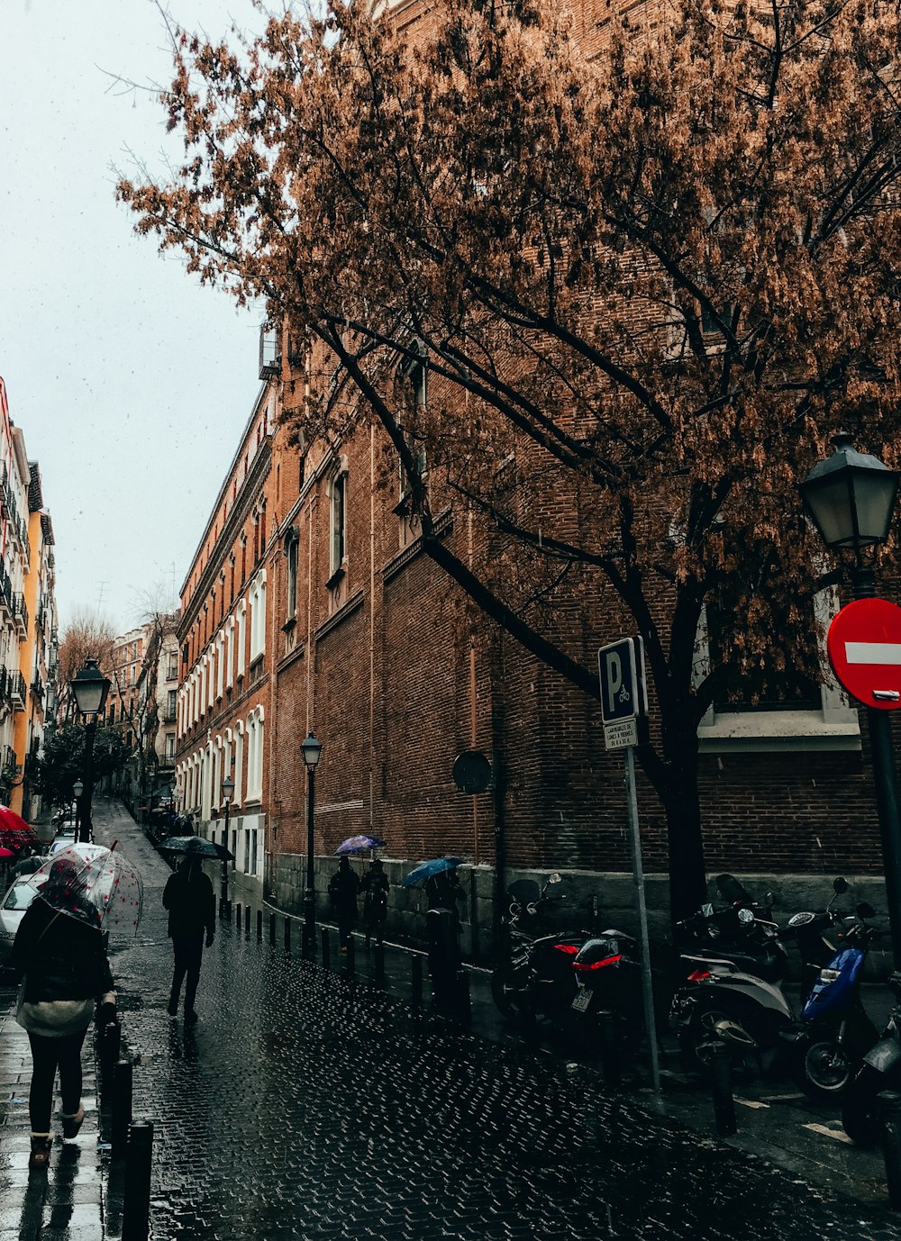 person holding umbrella walking between buildings