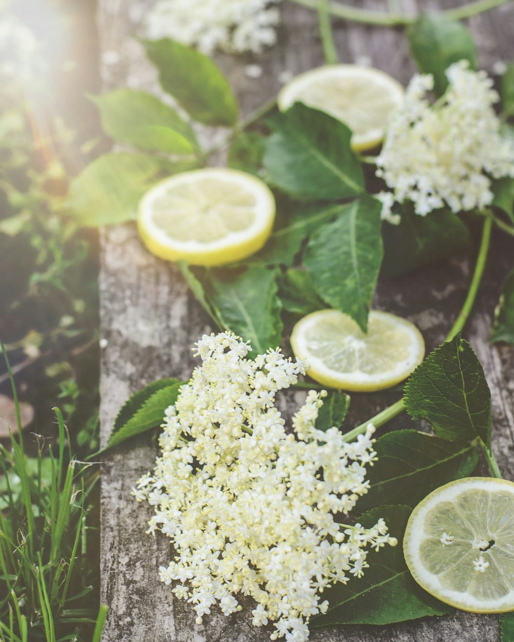 white flowers and sliced of lemon