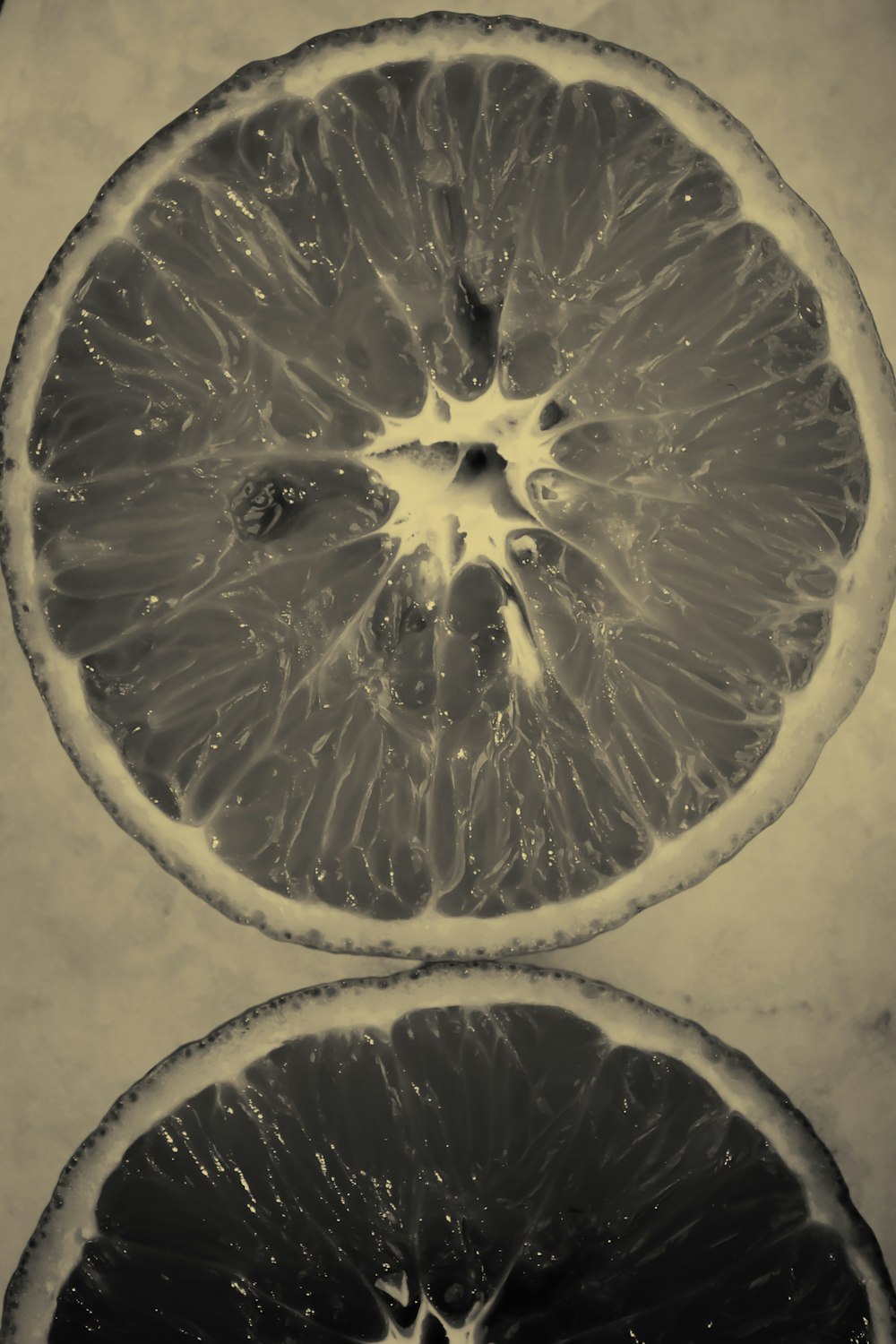 orange fruit gray-scale photography