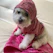 A happy small dog wearing a handmade colorful hoodie sitting on a cozy pillow.