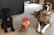 Two dogs sit on a carpeted floor next to a large container of dog treats. One dog is small and dark-colored, while the other is larger with a brindle coat. The container is clear with a red lid, filled with treats. The room contains various objects, including a dog toy and furniture.