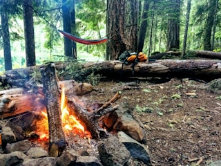 A rustic camping scene in a dense forest features a campfire surrounded by large rocks. A fallen tree serves as a bench, holding two backpacks. Above, a hammock is suspended between tall trees. The forest floor is covered with natural debris, and sunlight filters through the trees.