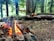 A rustic camping scene in a dense forest features a campfire surrounded by large rocks. A fallen tree serves as a bench, holding two backpacks. Above, a hammock is suspended between tall trees. The forest floor is covered with natural debris, and sunlight filters through the trees.